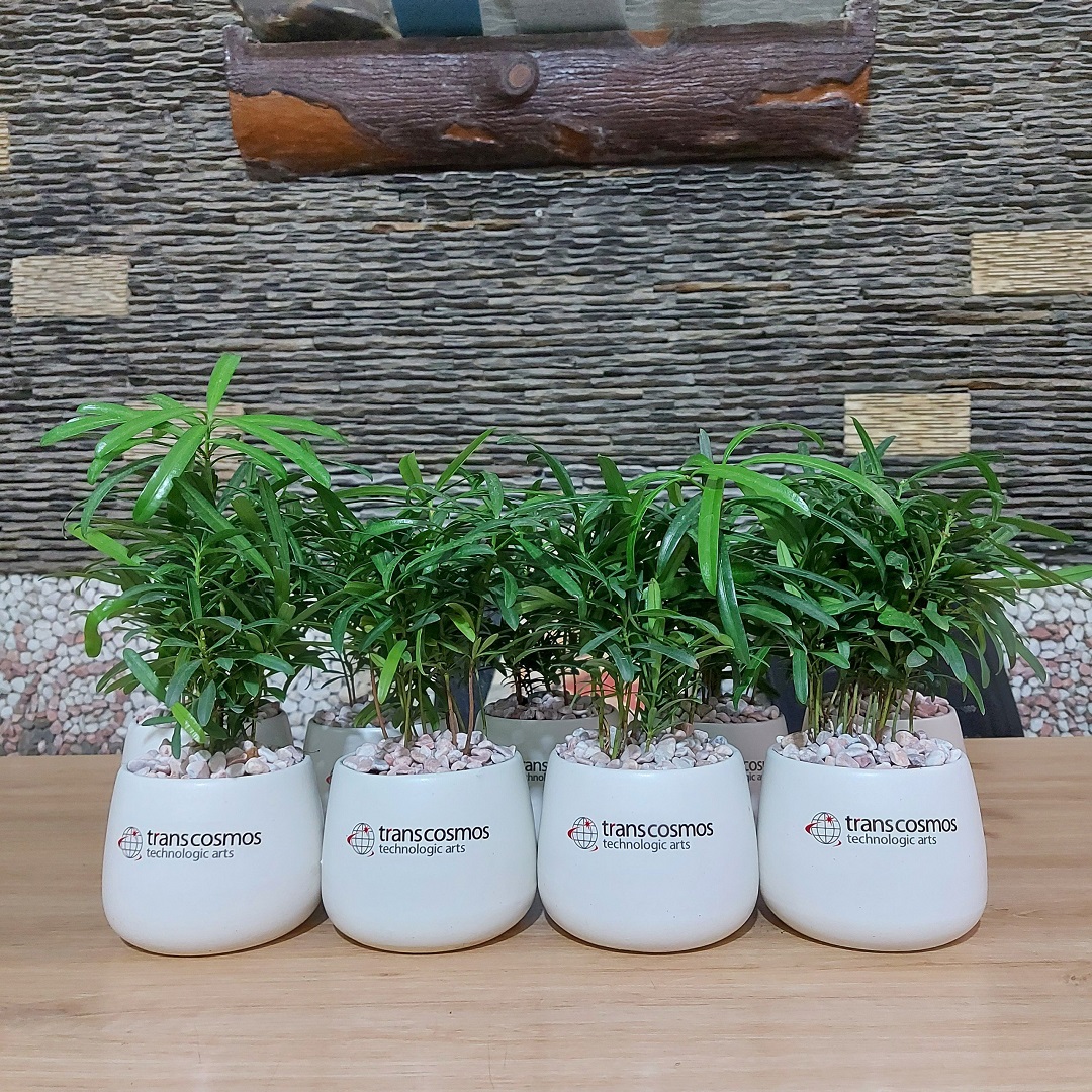 Phần thưởng cho đội thắng cuộc